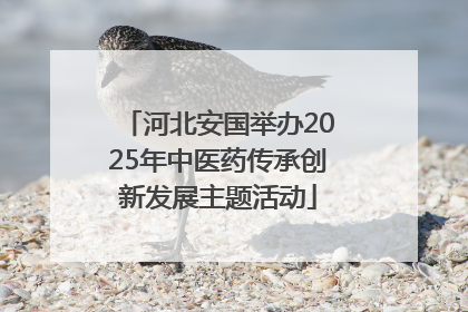 河北安国举办2025年中医药传承创新发展主题活动