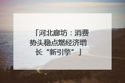 河北廊坊：消费势头稳点燃经济增长“新引擎”