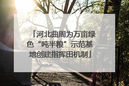 河北曲周为万亩绿色“吨半粮”示范基地创建指挥田机制
