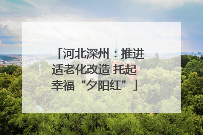 河北深州：推进适老化改造 托起幸福“夕阳红”