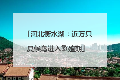 河北衡水湖：近万只夏候鸟进入繁殖期