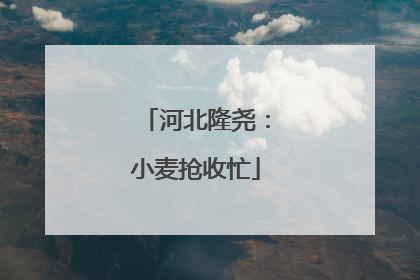 河北隆尧：小麦抢收忙