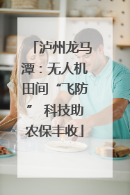 泸州龙马潭：无人机田间“飞防” 科技助农保丰收
