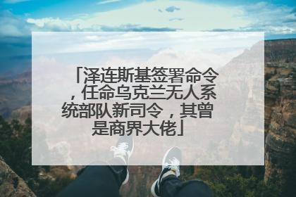 泽连斯基签署命令，任命乌克兰无人系统部队新司令，其曾是商界大佬