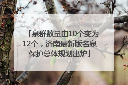 泉群数量由10个变为12个，济南最新版名泉保护总体规划出炉