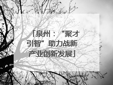 泉州：“聚才引智”助力战新产业创新发展
