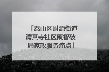 泰山区财源街道清真寺社区聚智破局家政服务痛点