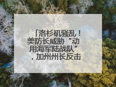 洛杉矶骚乱！美防长威胁“动用海军陆战队”，加州州长反击：精神错乱
