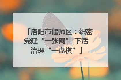 洛阳市偃师区：织密党建“一张网” 下活治理“一盘棋”