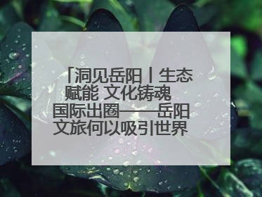洞见岳阳丨生态赋能 文化铸魂 国际出圈——岳阳文旅何以吸引世界目光？