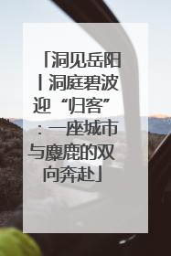 洞见岳阳丨洞庭碧波迎“归客”：一座城市与麋鹿的双向奔赴