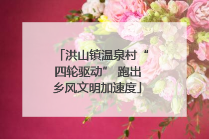 洪山镇温泉村“四轮驱动” 跑出乡风文明加速度