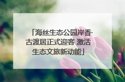 海丝生态公园岸香·古渡居正式迎客 激活生态文旅新动能