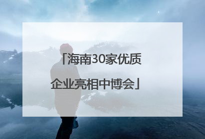 海南30家优质企业亮相中博会