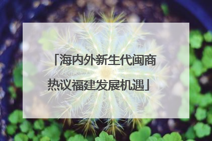 海内外新生代闽商热议福建发展机遇