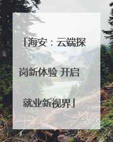 海安：云端探岗新体验 开启就业新视界