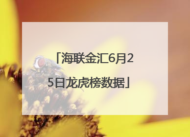 海联金汇6月25日龙虎榜数据