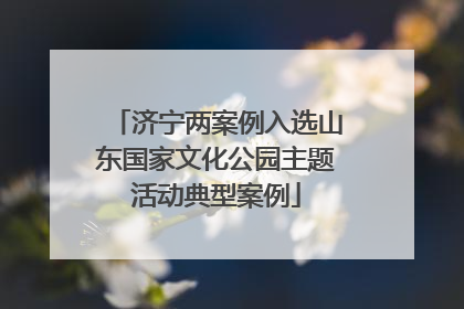 济宁两案例入选山东国家文化公园主题活动典型案例
