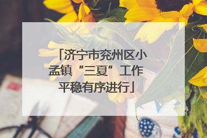 济宁市兖州区小孟镇“三夏”工作平稳有序进行