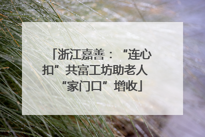 浙江嘉善：“连心扣”共富工坊助老人“家门口”增收
