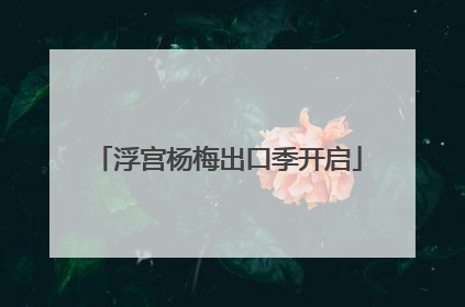 浮宫杨梅出口季开启