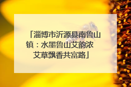 淄博市沂源县南鲁山镇：水墨鲁山艾韵浓 艾草飘香共富路