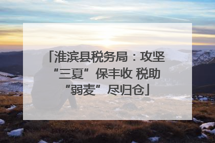 淮滨县税务局：攻坚“三夏”保丰收 税助“弱麦”尽归仓