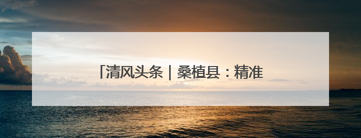 清风头条｜桑植县：精准监督守护群众“养老钱”