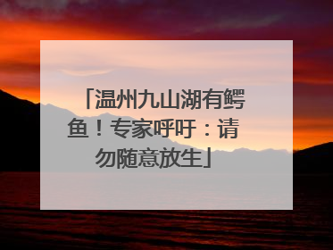 温州九山湖有鳄鱼！专家呼吁：请勿随意放生