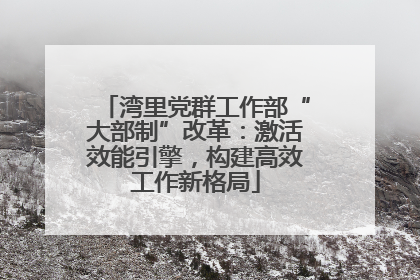 湾里党群工作部“大部制”改革：激活效能引擎，构建高效工作新格局