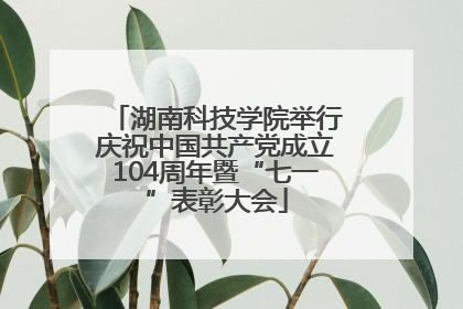 湖南科技学院举行庆祝中国共产党成立104周年暨“七一”表彰大会