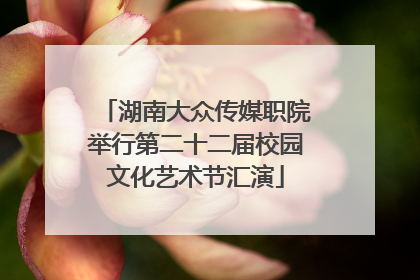 湖南大众传媒职院举行第二十二届校园文化艺术节汇演