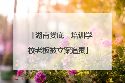 湖南娄底一培训学校老板被立案追责