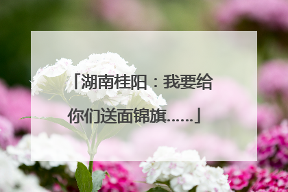 湖南桂阳：我要给你们送面锦旗……