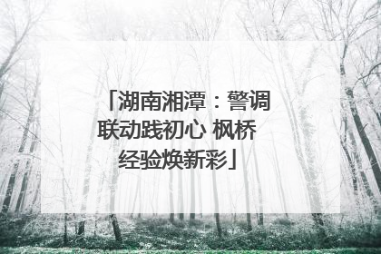 湖南湘潭：警调联动践初心 枫桥经验焕新彩