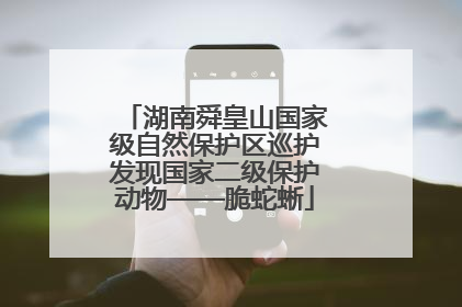 湖南舜皇山国家级自然保护区巡护发现国家二级保护动物——脆蛇蜥
