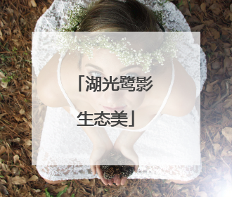 湖光鹭影生态美