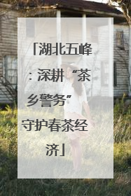 湖北五峰：深耕“茶乡警务” 守护春茶经济