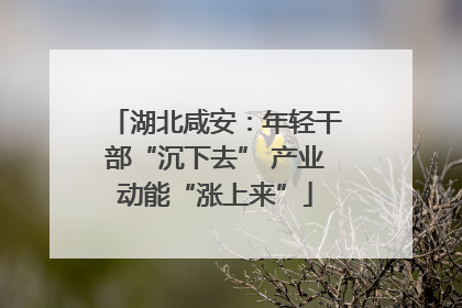 湖北咸安：年轻干部“沉下去” 产业动能“涨上来”