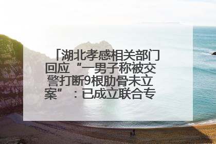 湖北孝感相关部门回应“一男子称被交警打断9根肋骨未立案”：已成立联合专班开展工作