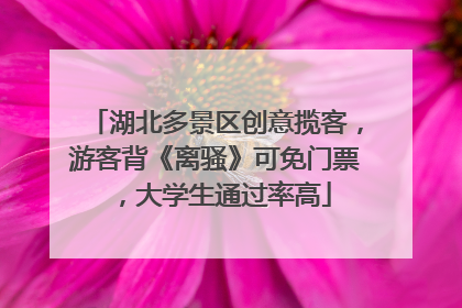 湖北多景区创意揽客，游客背《离骚》可免门票，大学生通过率高