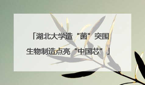 湖北大学造“菌”突围 生物制造点亮“中国芯”