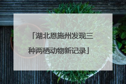 湖北恩施州发现三种两栖动物新记录