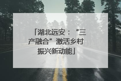 湖北远安：“三产融合”激活乡村振兴新动能