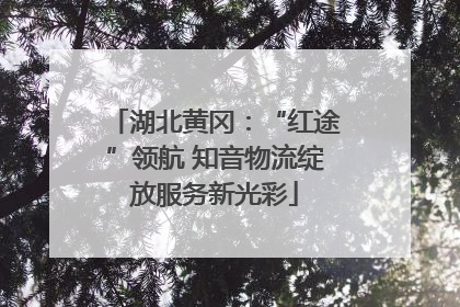 湖北黄冈：“红途”领航 知音物流绽放服务新光彩