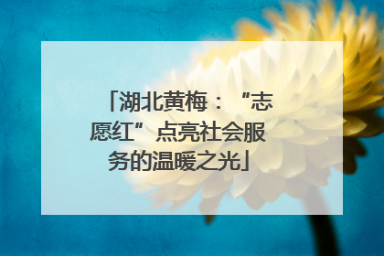 湖北黄梅：“志愿红”点亮社会服务的温暖之光