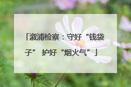 溆浦检察：守好“钱袋子” 护好“烟火气”
