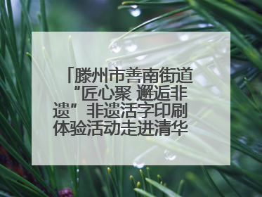 滕州市善南街道“匠心聚 邂逅非遗”非遗活字印刷体验活动走进清华园小学