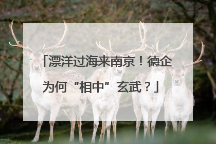 漂洋过海来南京！德企为何“相中”玄武？