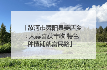 漯河市舞阳县姜店乡：大蒜喜获丰收 特色种植铺就富民路